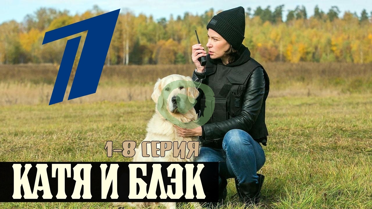 Катя и Блэк 1/2 сезон 1-8 серия большой постер сериала